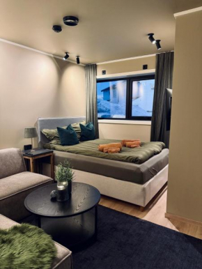 Arctic Seasons Studio Apartment - A Cozy Luxury Escape at the Top of Tromsø